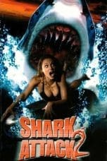 Nonton film Shark Attack 2 (2001) terbaru di Dutamovie21 Nonton film Shark Attack 2 (2001) terbaru di Dutamovie21
