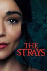 Nonton film The Strays (2023) terbaru di Dutamovie21 Nonton film The Strays (2023) terbaru di Dutamovie21