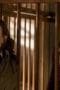 Nonton film The Flash Season 3 Episode 13 terbaru di Dutamovie21 Nonton film The Flash Season 3 Episode 13 terbaru di Dutamovie21