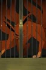 Nonton film Naruto Shippūden Season 15 Episode 327 terbaru di Dutamovie21