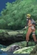 Nonton film Naruto Shippūden Season 13 Episode 290 terbaru di Dutamovie21