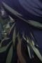 Nonton film Hellsing Ultimate Season 1 Episode 6 terbaru di Dutamovie21 Nonton film Hellsing Ultimate Season 1 Episode 6 terbaru di Dutamovie21