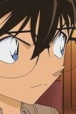 Nonton film Case Closed Season 1 Episode 815 terbaru di Dutamovie21