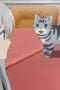 Nonton film Too Cute Crisis Season 1 Episode 1 terbaru di Dutamovie21 Nonton film Too Cute Crisis Season 1 Episode 1 terbaru di Dutamovie21