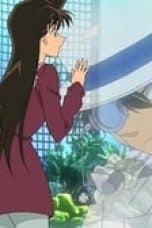 Nonton film Case Closed Season 1 Episode 724-725 terbaru di Dutamovie21