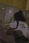 Nonton film Power Rangers Wild Force Season 1 Episode 25 terbaru di Dutamovie21 Nonton film Power Rangers Wild Force Season 1 Episode 25 terbaru di Dutamovie21
