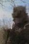 Nonton film Power Rangers Wild Force Season 1 Episode 11 terbaru di Dutamovie21 Nonton film Power Rangers Wild Force Season 1 Episode 11 terbaru di Dutamovie21
