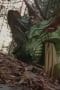 Nonton film Power Rangers Wild Force Season 1 Episode 10 terbaru di Dutamovie21 Nonton film Power Rangers Wild Force Season 1 Episode 10 terbaru di Dutamovie21