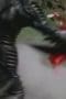 Nonton film Power Rangers Wild Force Season 1 Episode 12 terbaru di Dutamovie21 Nonton film Power Rangers Wild Force Season 1 Episode 12 terbaru di Dutamovie21