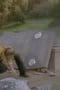 Nonton film Power Rangers Wild Force Season 1 Episode 13 terbaru di Dutamovie21 Nonton film Power Rangers Wild Force Season 1 Episode 13 terbaru di Dutamovie21