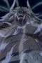 Nonton film One Piece Season 10 Episode 351 terbaru di Dutamovie21 Nonton film One Piece Season 10 Episode 351 terbaru di Dutamovie21