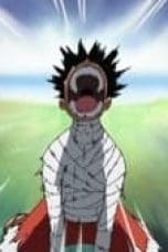 Nonton film One Piece Season 13 Episode 491 terbaru di Dutamovie21