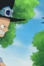 Nonton film One Piece Season 13 Episode 494 terbaru di Dutamovie21