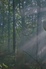 Nonton film Jirisan Season 1 Episode 14 terbaru di Dutamovie21
