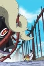 Nonton film One Piece Season 17 Episode 703 terbaru di Dutamovie21