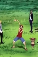 Nonton film One Piece Season 7 Episode 209 terbaru di Dutamovie21