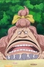 Nonton film One Piece Season 18 Episode 792 terbaru di Dutamovie21