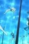 Nonton film Medaka Box Season 1 Episode 5 terbaru di Dutamovie21 Nonton film Medaka Box Season 1 Episode 5 terbaru di Dutamovie21