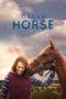 Nonton film Dream Horse (2021) terbaru di Dutamovie21 Nonton film Dream Horse (2021) terbaru di Dutamovie21