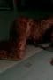 Nonton film Fringe Season 1 Episode 2 terbaru di Dutamovie21 Nonton film Fringe Season 1 Episode 2 terbaru di Dutamovie21
