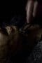 Nonton film Fringe Season 4 Episode 17 terbaru di Dutamovie21 Nonton film Fringe Season 4 Episode 17 terbaru di Dutamovie21