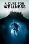Nonton film A Cure for Wellness (2017) terbaru di Dutamovie21 Nonton film A Cure for Wellness (2017) terbaru di Dutamovie21