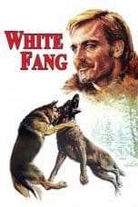 Nonton film White Fang (1973) terbaru di Dutamovie21 Nonton film White Fang (1973) terbaru di Dutamovie21