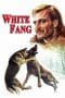 Nonton film White Fang (1973) terbaru di Dutamovie21 Nonton film White Fang (1973) terbaru di Dutamovie21