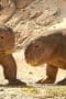 Nonton film Life on Our Planet Season 1 Episode 4 terbaru di Dutamovie21 Nonton film Life on Our Planet Season 1 Episode 4 terbaru di Dutamovie21