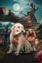 Nonton film Valatty (2023) terbaru di Dutamovie21 Nonton film Valatty (2023) terbaru di Dutamovie21