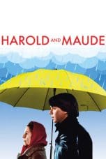 Nonton film Harold and Maude (1971) terbaru di Dutamovie21 Nonton film Harold and Maude (1971) terbaru di Dutamovie21