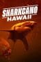 Nonton film Sharkcano: Hawaii (2023) terbaru di Dutamovie21 Nonton film Sharkcano: Hawaii (2023) terbaru di Dutamovie21