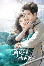 Nonton film Fall in Love Again (2024) terbaru di Dutamovie21 Nonton film Fall in Love Again (2024) terbaru di Dutamovie21