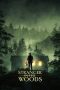 Nonton film Stranger in the Woods (2024) terbaru di Dutamovie21 Nonton film Stranger in the Woods (2024) terbaru di Dutamovie21