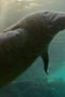 Nonton film Earthsounds Season 1 Episode 11 terbaru di Dutamovie21 Nonton film Earthsounds Season 1 Episode 11 terbaru di Dutamovie21