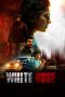 Nonton film White Rose (2024) terbaru di Dutamovie21 Nonton film White Rose (2024) terbaru di Dutamovie21