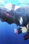 Nonton film Grand Blue Dreaming Season 2 Episode 1 terbaru di Dutamovie21