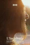 Nonton film The Accident (2023) terbaru di Dutamovie21 Nonton film The Accident (2023) terbaru di Dutamovie21