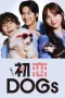 Nonton film Hatsukoi Dogs (2025) terbaru di Dutamovie21