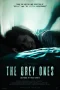 Nonton film The Grey Ones (2025) terbaru di Dutamovie21 Nonton film The Grey Ones (2025) terbaru di Dutamovie21