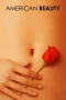 Nonton film American Beauty (1999) terbaru di Dutamovie21 Nonton film American Beauty (1999) terbaru di Dutamovie21