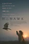 Nonton film H Is for Hawk (2025) terbaru di Dutamovie21 Nonton film H Is for Hawk (2025) terbaru di Dutamovie21