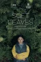 Nonton film Soft Leaves (2025) terbaru di Dutamovie21