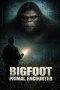 Nonton film Bigfoot Primal Encounter (2025) terbaru di Dutamovie21