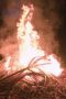 Nonton film Outlast: The Jungle Season 1 Episode 6 terbaru di Dutamovie21 Nonton film Outlast: The Jungle Season 1 Episode 6 terbaru di Dutamovie21