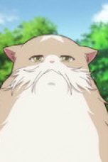 Nonton film The Cat and the Dragon Season 1 Episode 6 terbaru di Dutamovie21