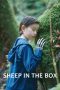 Nonton film Sheep in the Box (2026) terbaru di Dutamovie21 Nonton film Sheep in the Box (2026) terbaru di Dutamovie21